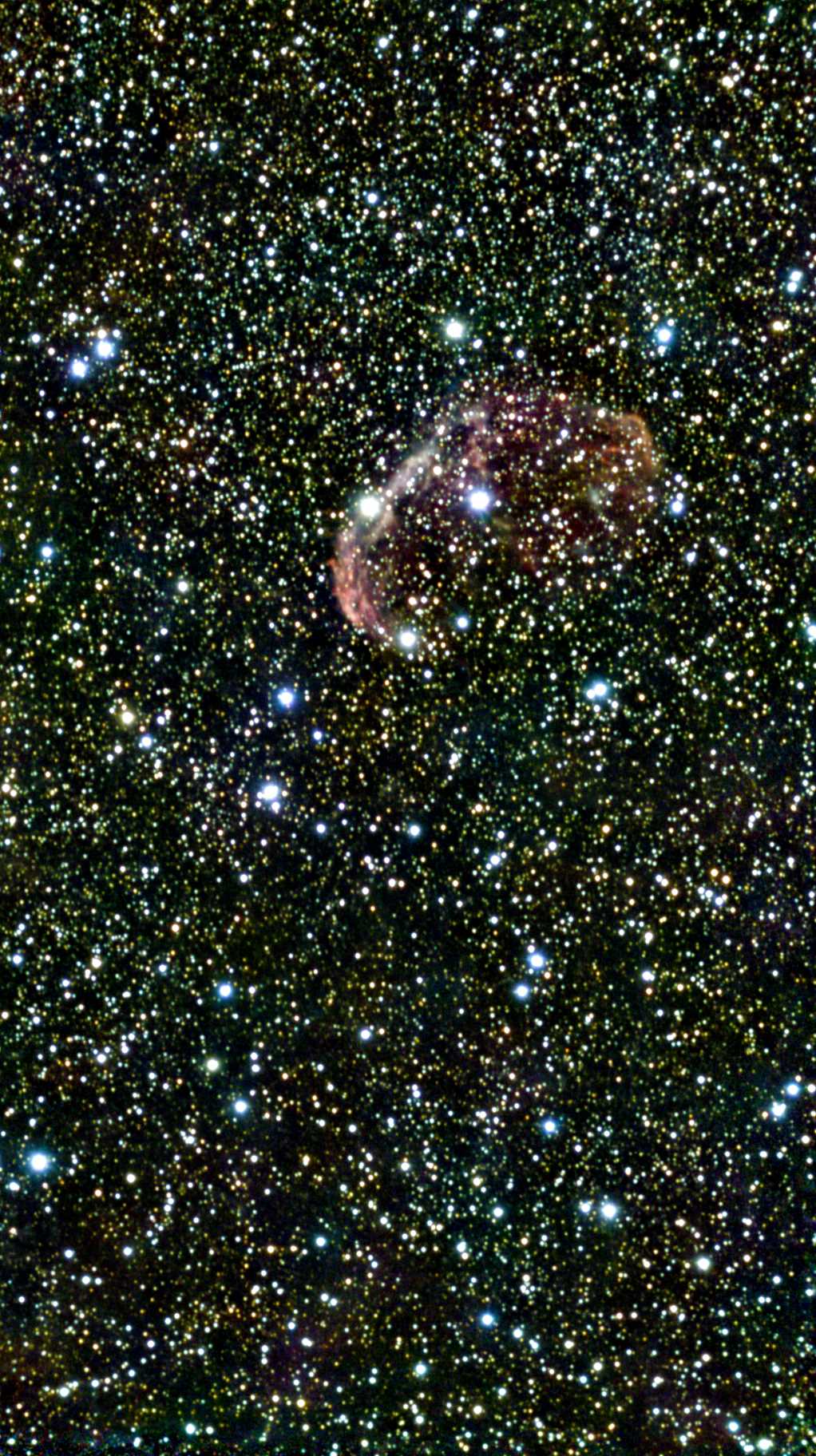 NGC 6888.jpg